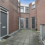 05 - kopie